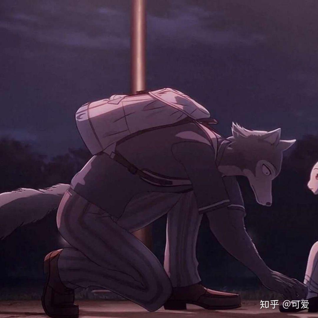 大家有没有动物狂想曲的情头啊? - 知乎