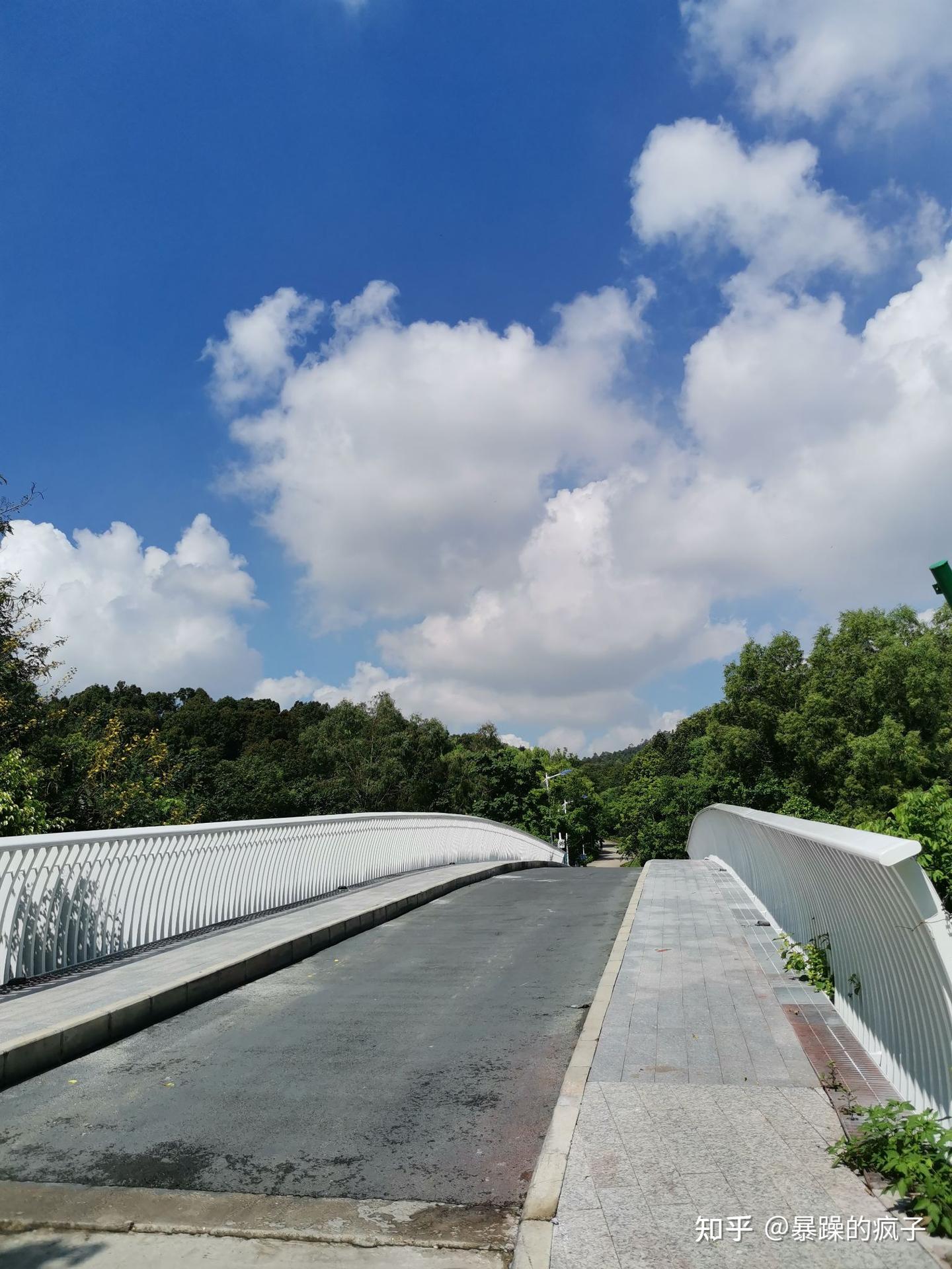 深圳周末一个人去哪玩—平湖生态园 - 知乎