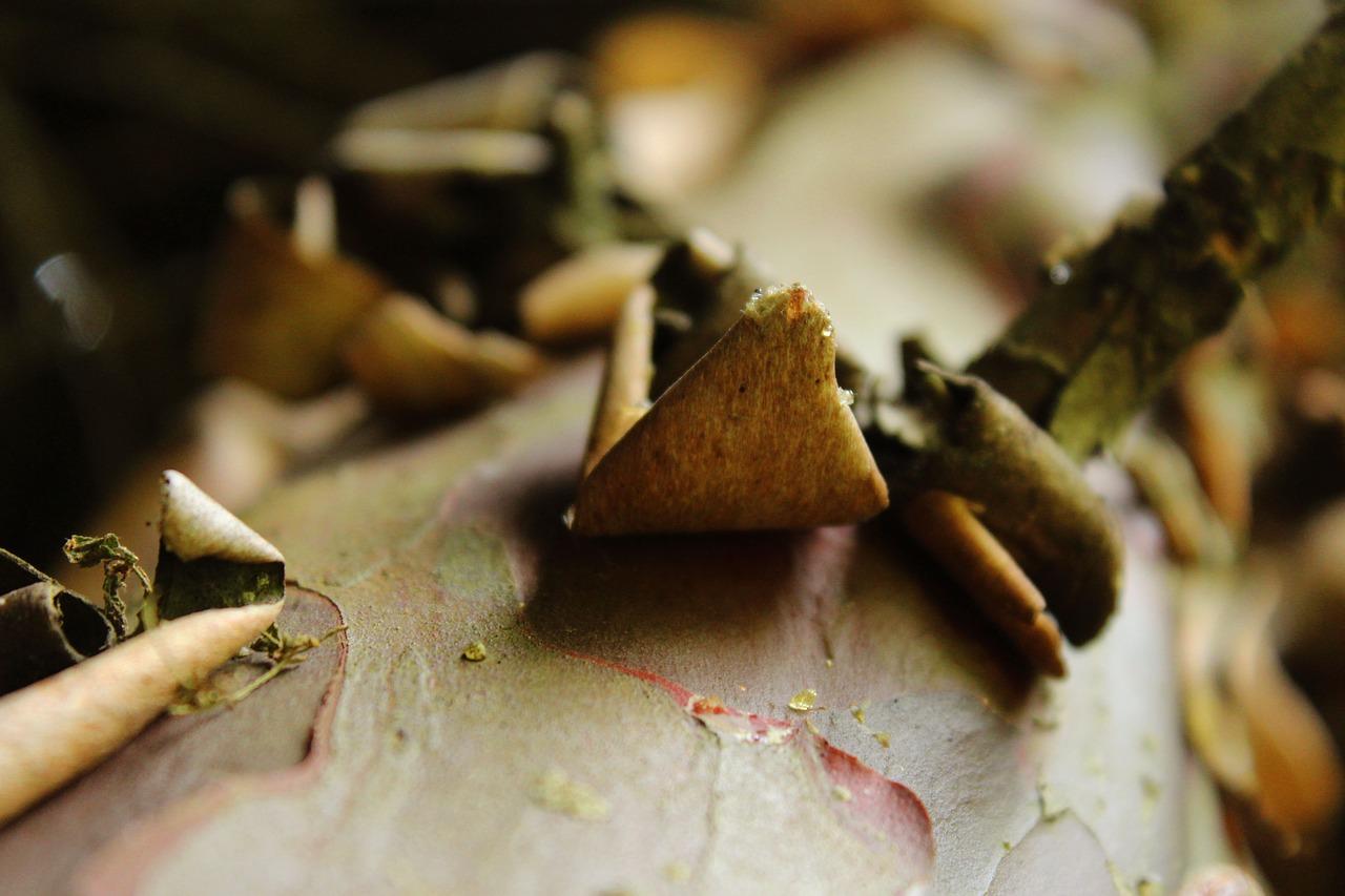 4. 替换腐烂部分