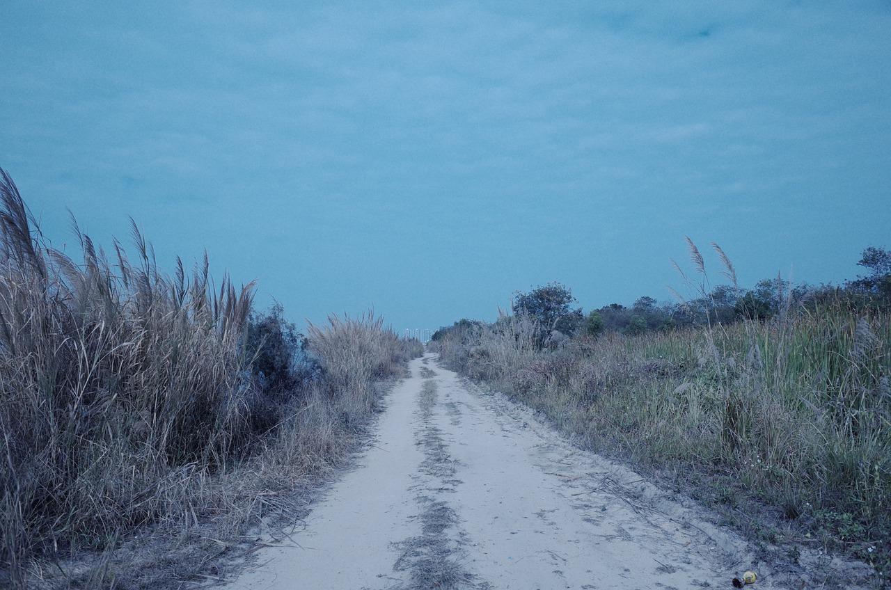 省道沿线住宅分析