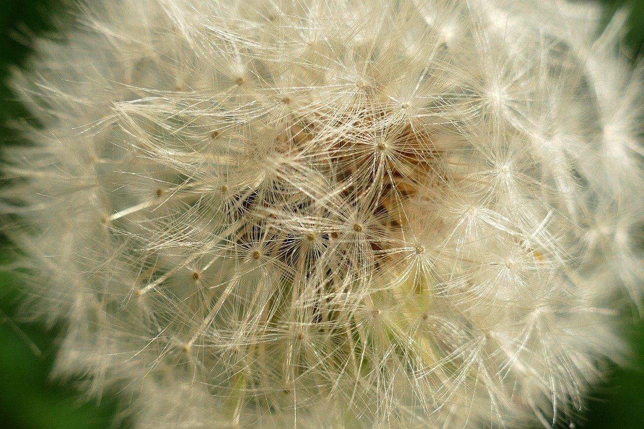 4. 麓皮绒机洗注意