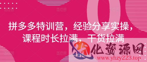 拼多多特训营，经验分享实操，课程时长拉满，干货拉满(更新25年4月)