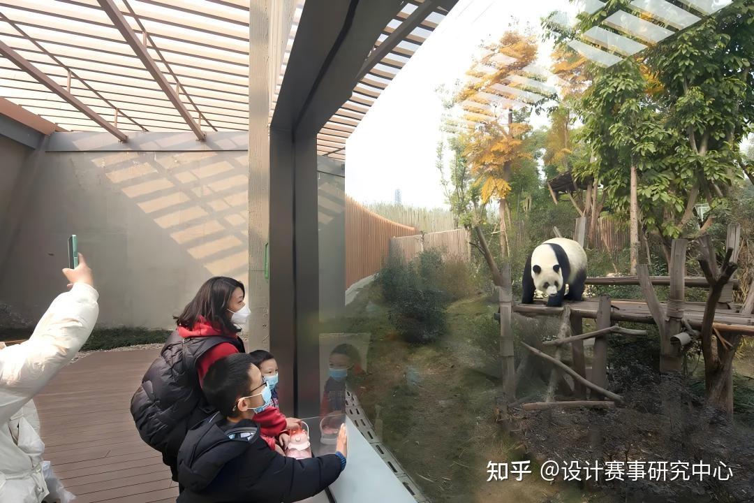 2025亚洲建筑师协会建筑奖：成都熊猫新舍 - 知乎