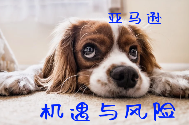 v2-da8d2396380ba2daecc0fbdebc4b6211_1440w.jpg?source=172ae18b