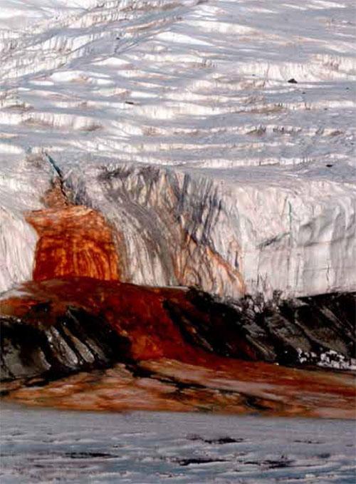 在泰勒冰川附近有一个存在了 15 亿年的海水池,血瀑布的红色就来自