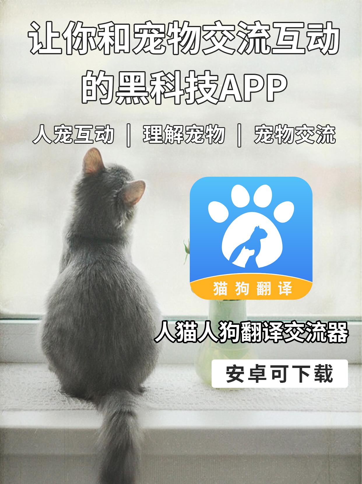如何翻译猫语言 v2-daa8f0fde979bbb62e01edfe58503524_1440w.jpg?source=172ae18b