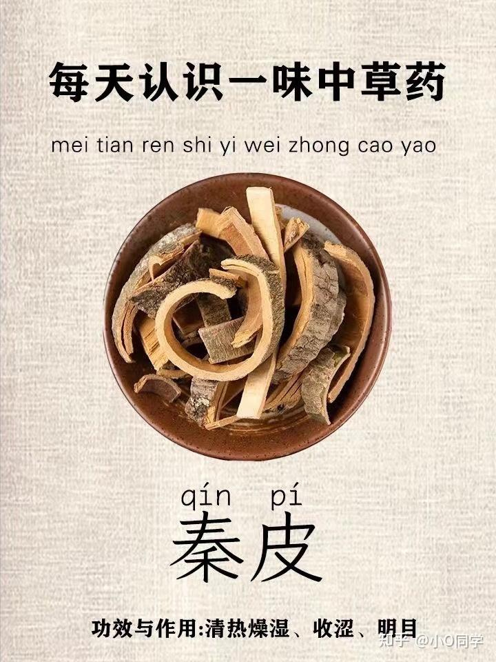 每天认识一味中草药-秦皮 - 知乎