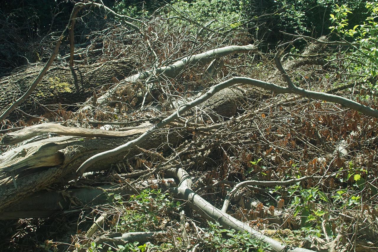 2. 自然风化处理