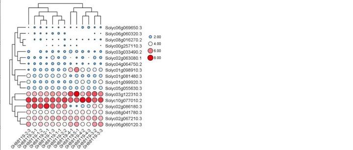 「TBtools」热图 HeatMap「格式刷」 - 知乎