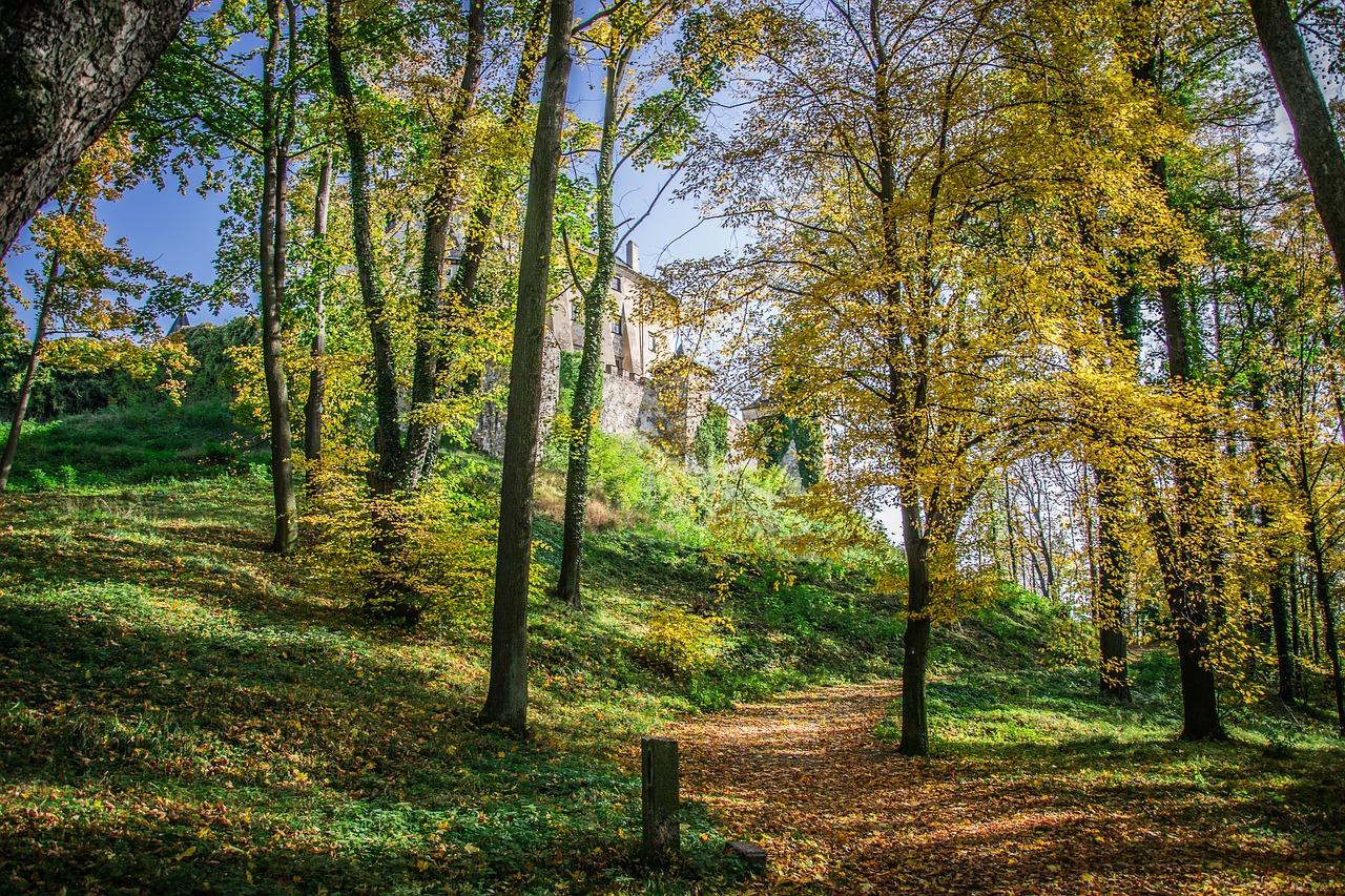 京林生态花园怎么导航