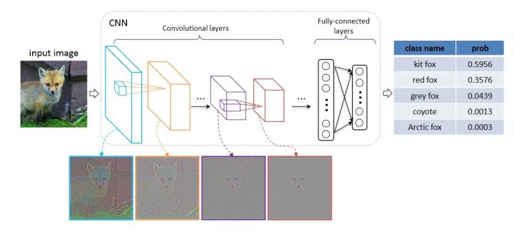 [CV - Image Classification]图像分类卷积神经网络模型综述（全） - 知乎
