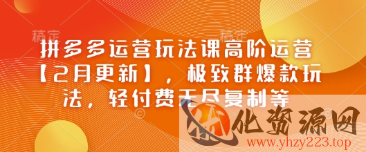 拼多多运营玩法课高阶运营【2月更新】，极致群爆款玩法，轻付费无尽复制等