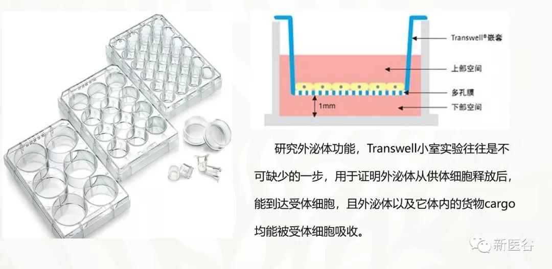 Transwell Microscope 你们是怎么找到科研课题的? - 知乎