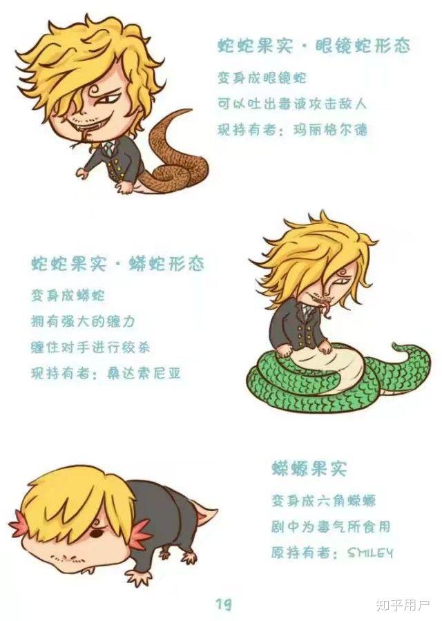 海贼王有详细的恶魔果实图鉴吗