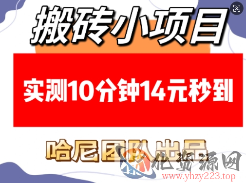 搬砖小项目，实测10分钟14元秒到，每天稳定几张(赠送必看稳定)
