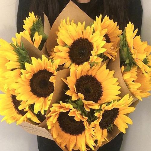 有没有什么惊艳的微信头像?-特别惊艳到人的微信头像