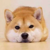 南基哲