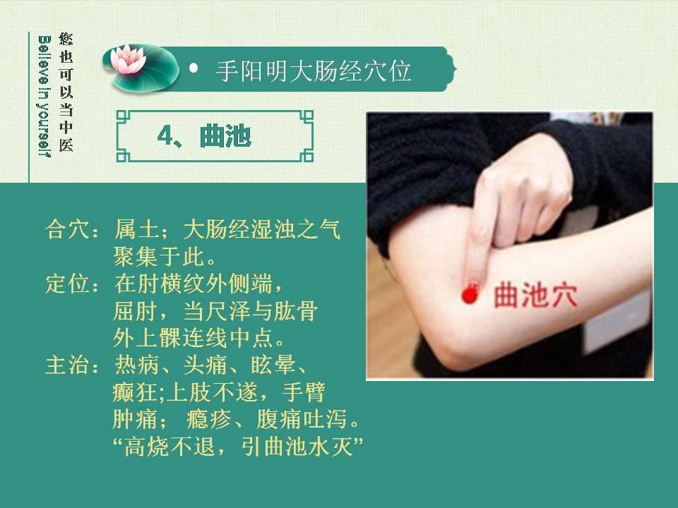 手阳明大肠经 十二经络讲稿13 曲池穴 知乎