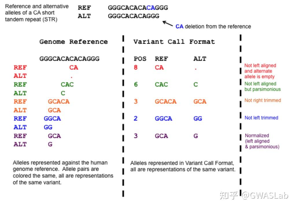 变异的标准化 Variant Normalization - 知乎
