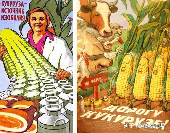 赫鲁晓夫为什么叫玉米晓夫? - 知乎