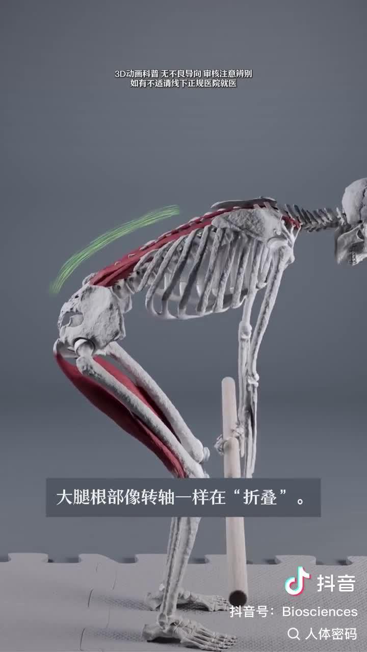请大神帮我指导一下硬拉动作，谢谢！? - 知乎