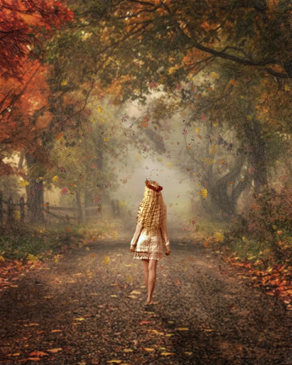 秋收的喜悦时光