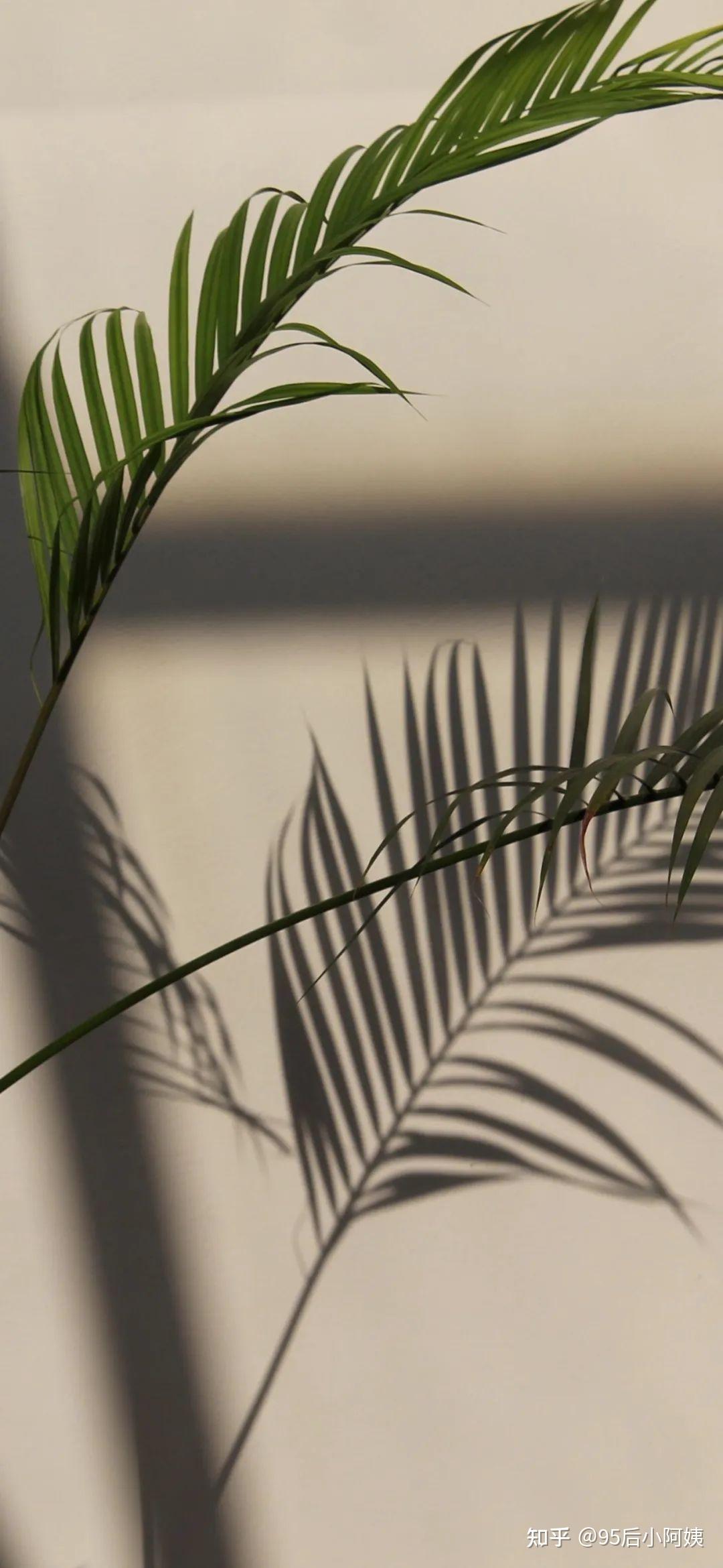 有没有4k以上简单简约的手机壁纸