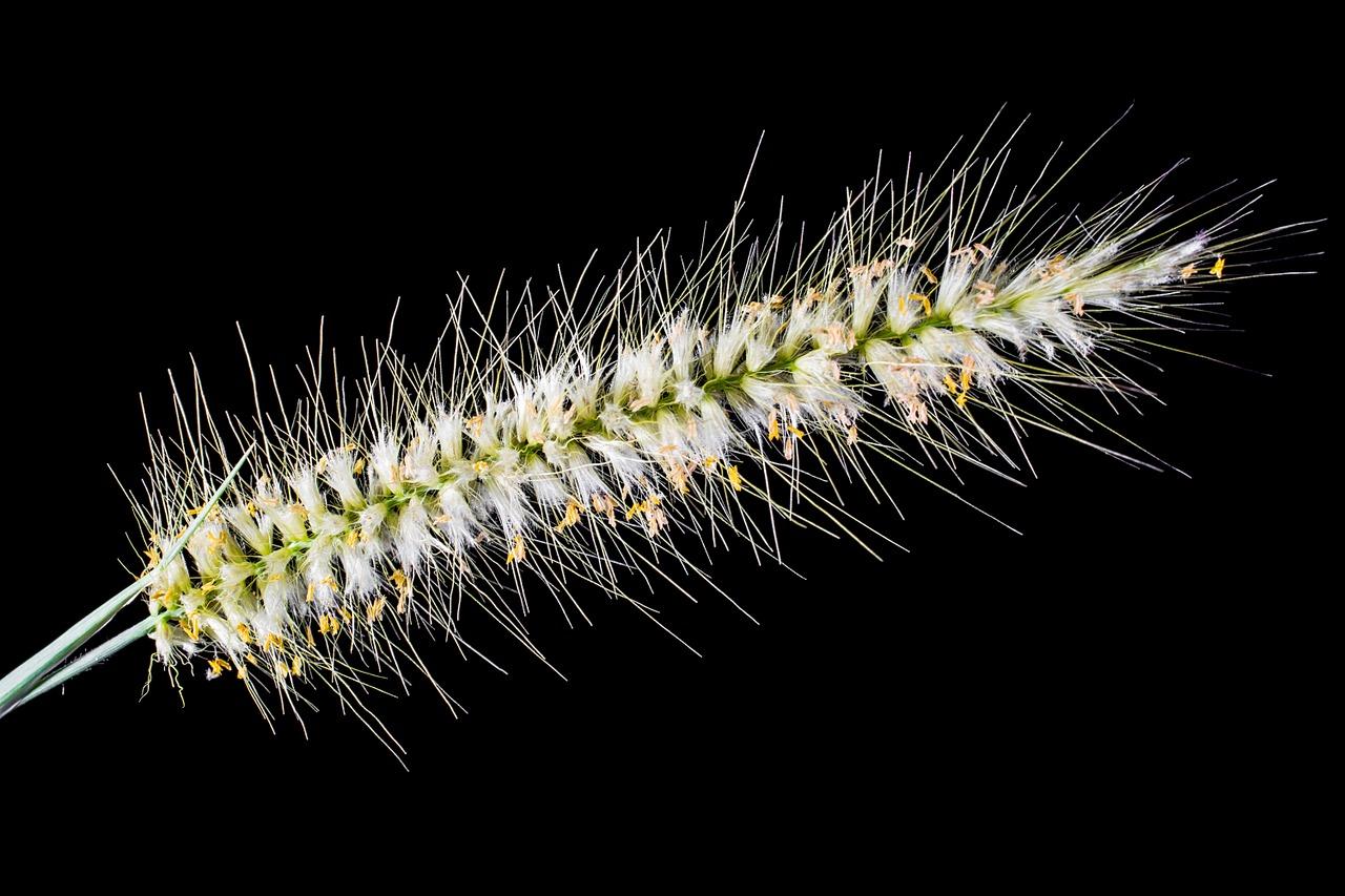 2. 传统穗头技巧