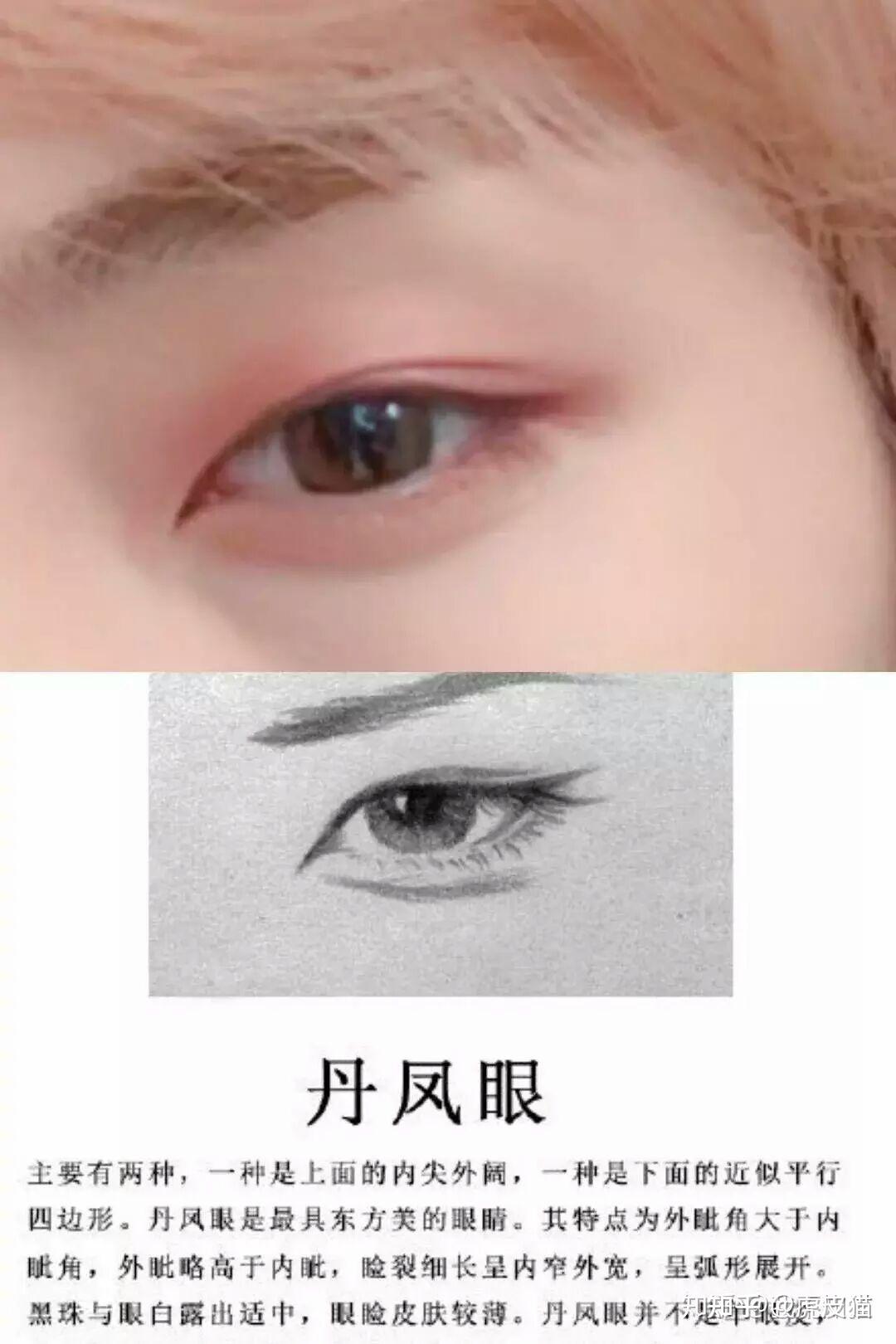 标准的丹凤眼到底什么样? - 知乎