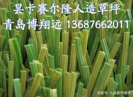 赛尔隆人造草坪:优质足球场人造草坪的代言者