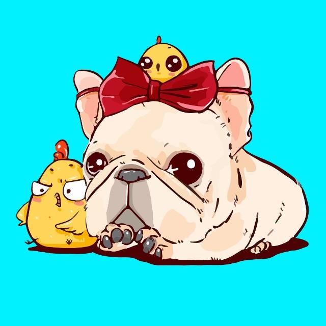 快看看 狗狗流口水可能也是病 知乎