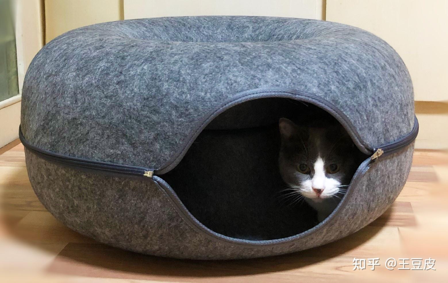 猫一般会喜欢什么样的猫窝? - 知乎