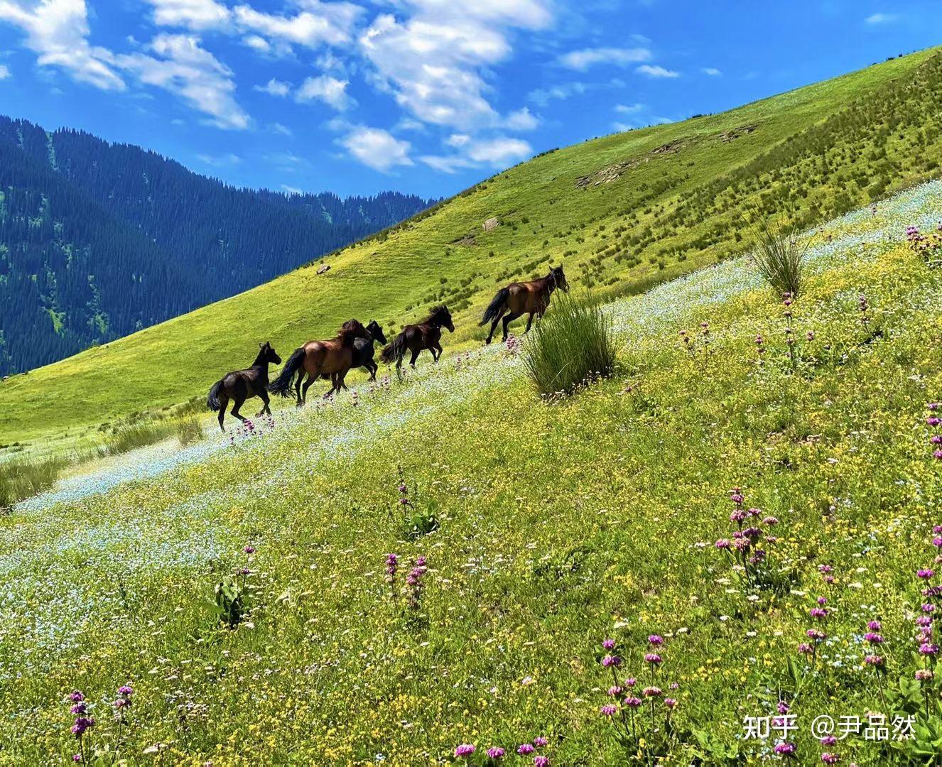 新疆好玩吗,适合旅行吗? 