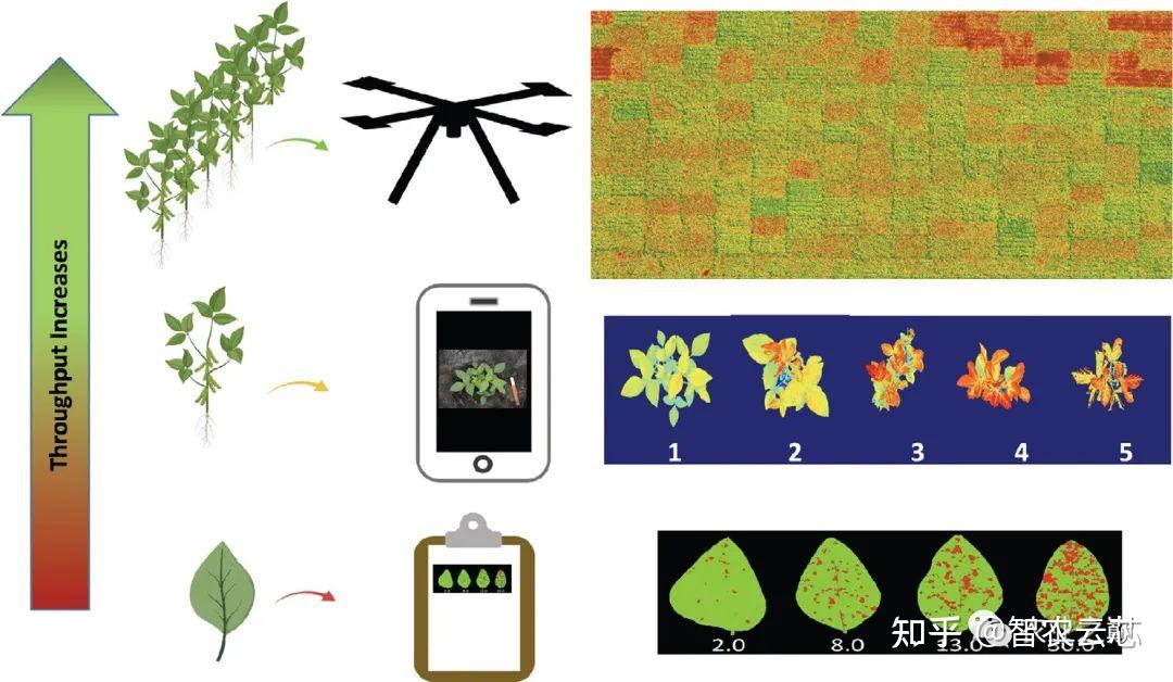 Trends in Plant Science | 基于机器学习的植物胁迫表型的挑战和机遇 - 知乎