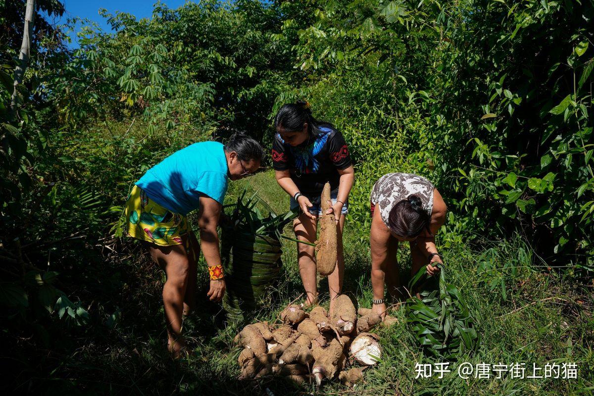 亚马逊原始部落与世隔绝，女首领力挽狂澜，部落重获新生- 知乎