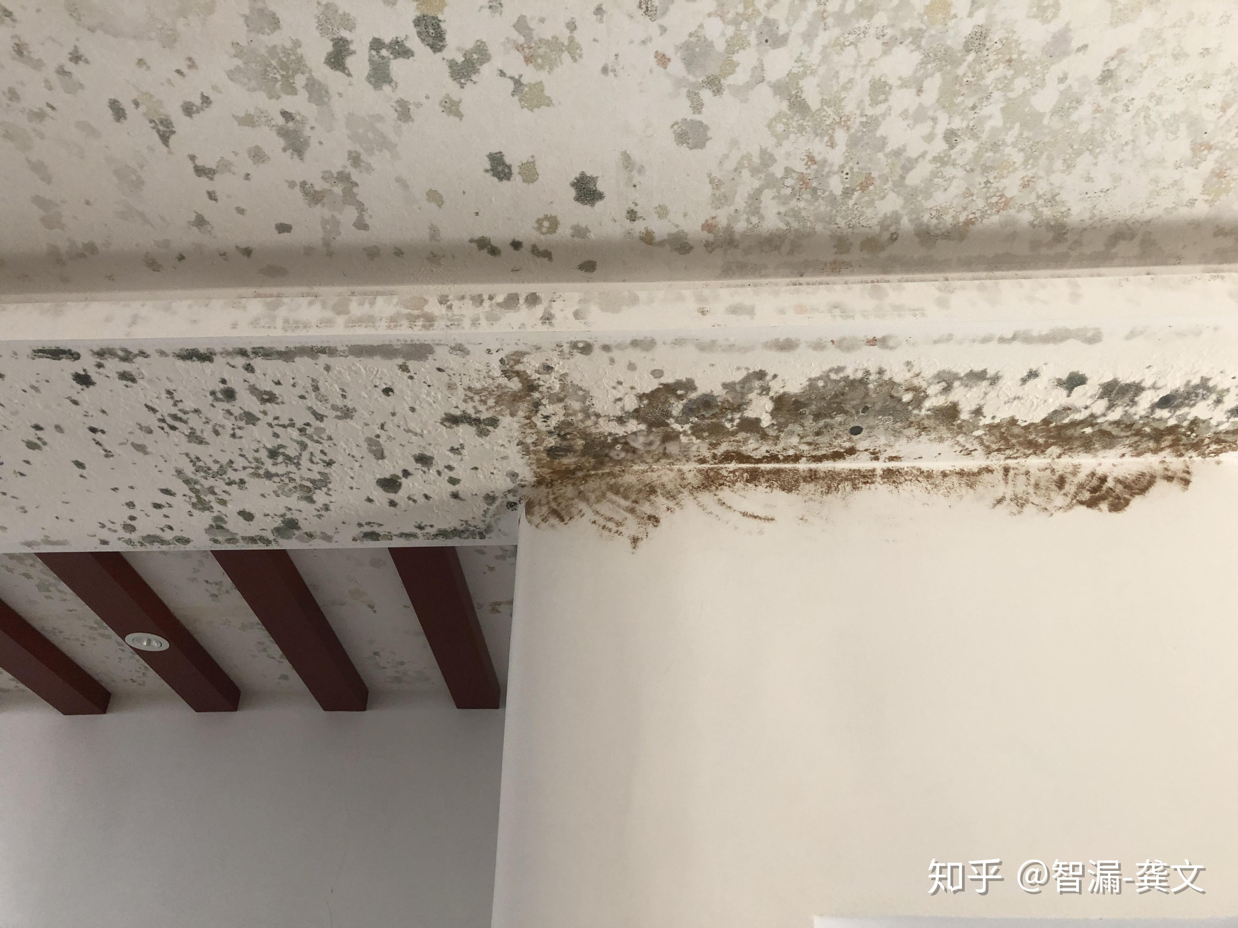 在楼上不漏水的情况下天花板有可能这样发霉么?