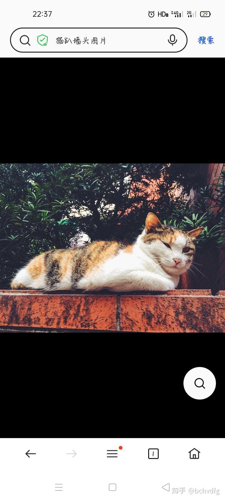 你们有没有江添的微信头像啊? - 知乎