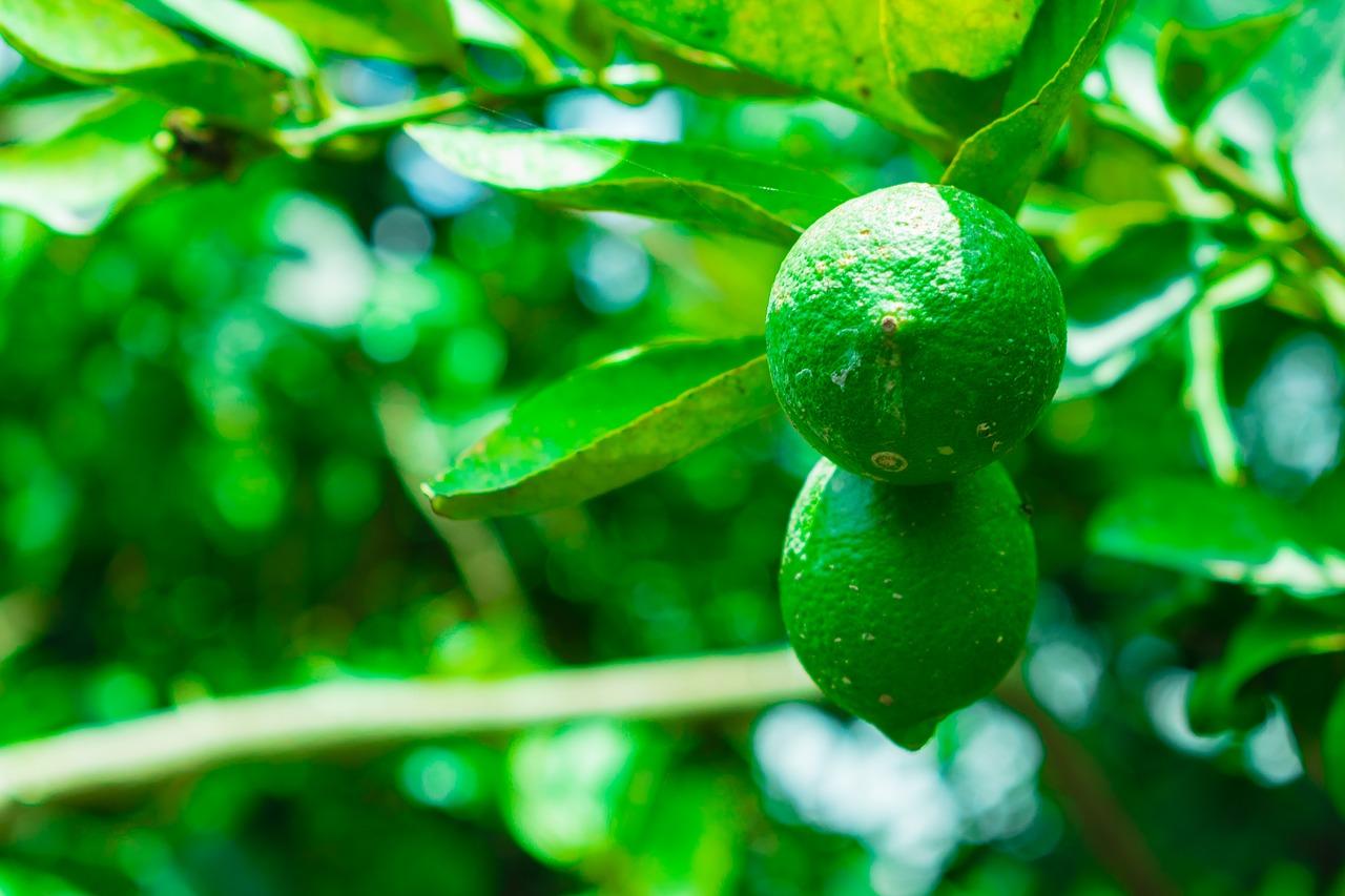 4. 便捷交通配套