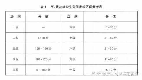 手功能分值图图片