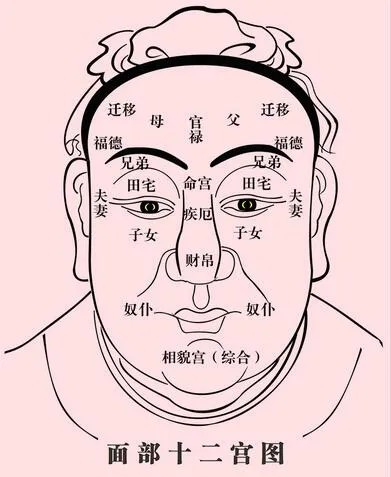 面相看一生- 知乎