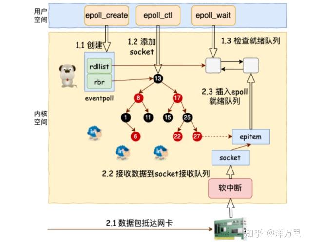 一文详解I/O多路复用中select/poll/epoll - 知乎