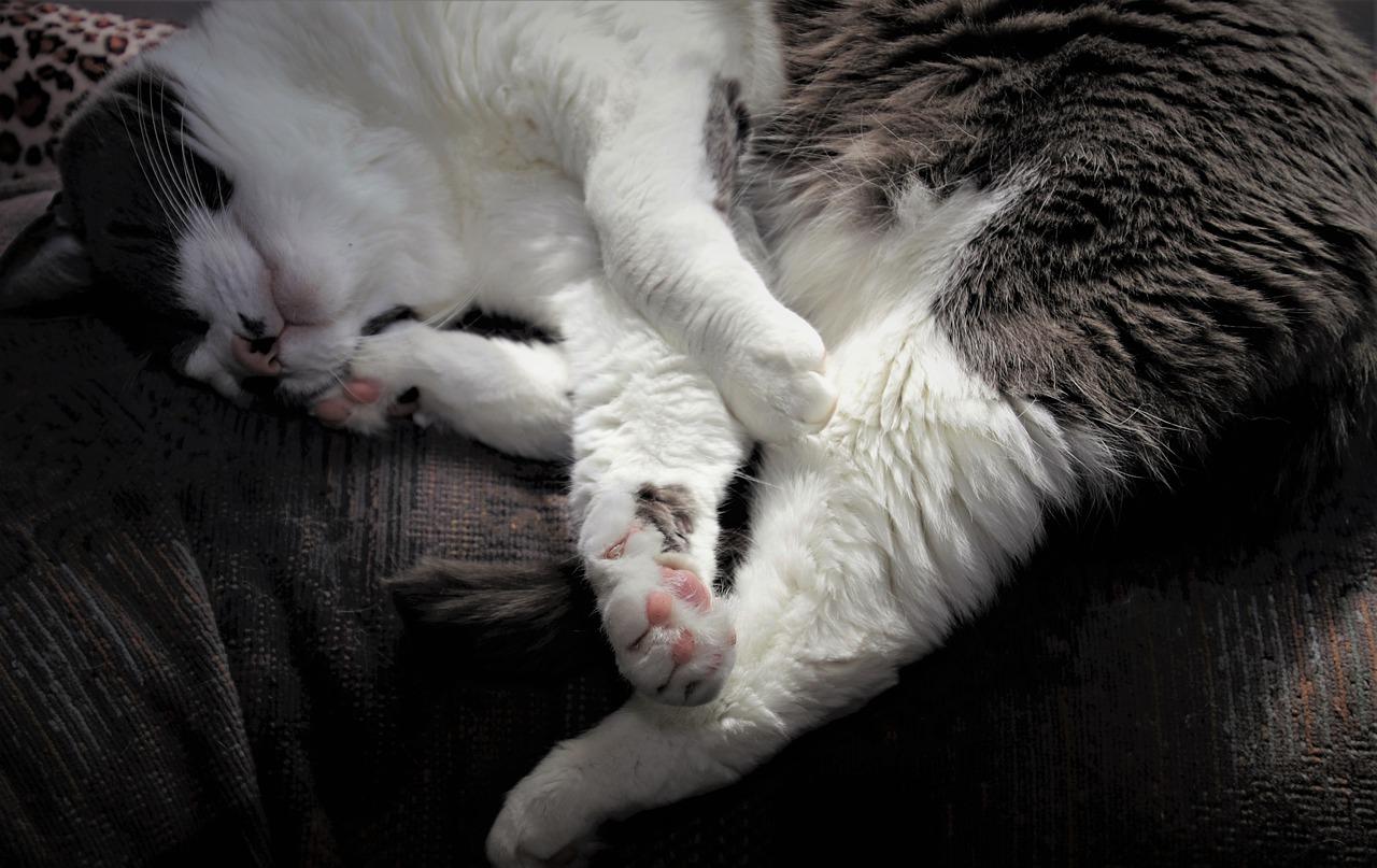 二手房翻新注意事项