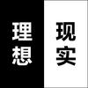 理想主义现实者