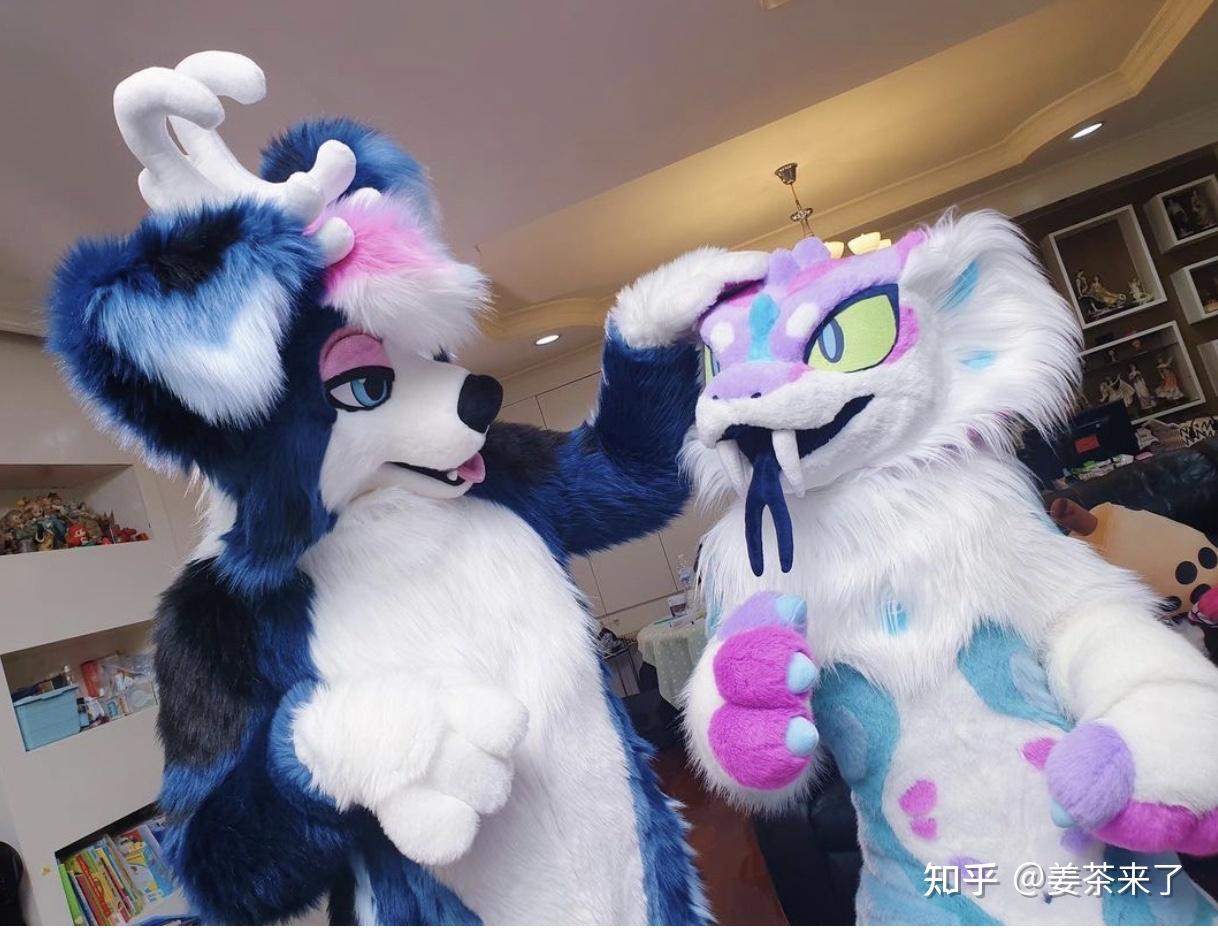 兽装半装如何搭配合适的衣服