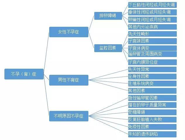 三代试管流程时间表(三代试管的流程包含哪几个关键环节)-第1张图片-鲸幼网