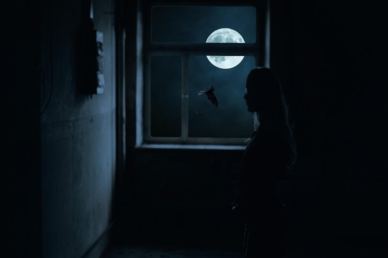 家装木门选什么好