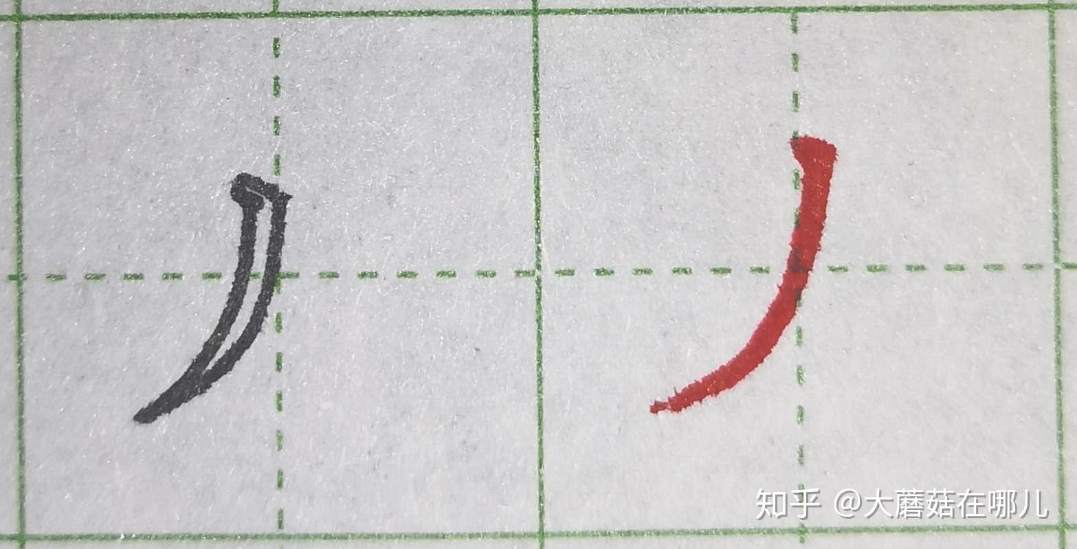 硬笔笔画练习之撇画 - 知乎