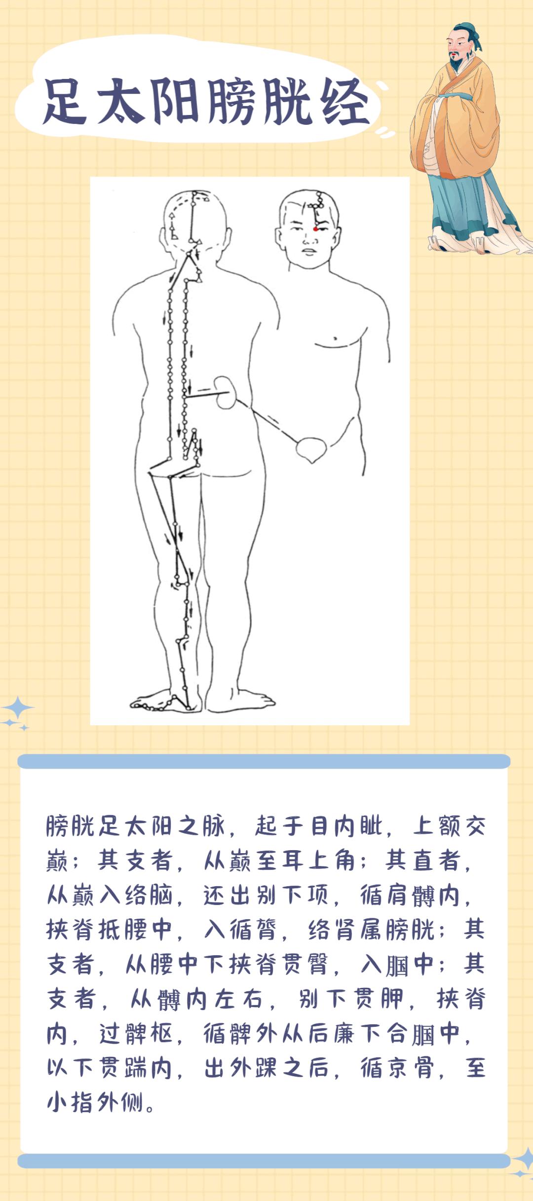 十二经脉笔记（干货） - 知乎