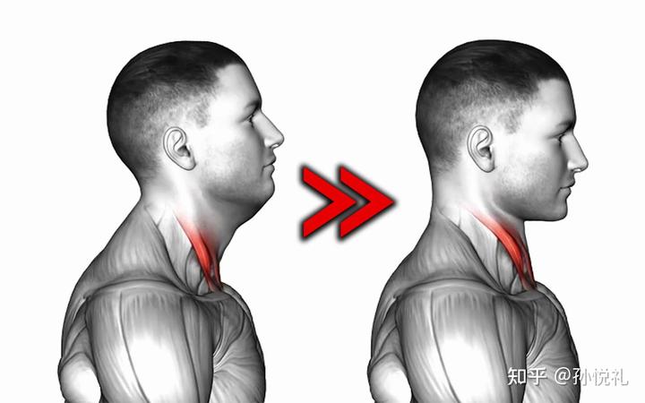 男生健身应该着重锻炼哪些肌肉？
