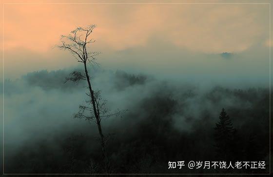 渐渐释然 - 知乎